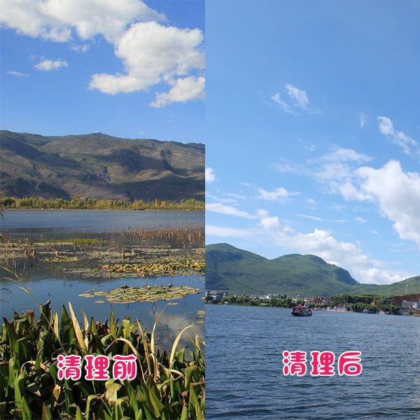 洱?？蛻艉此萸謇硇Ч故? title=