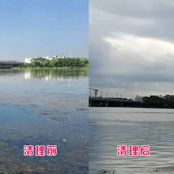 遼陽(yáng)市客戶太子河水草清理效果展示