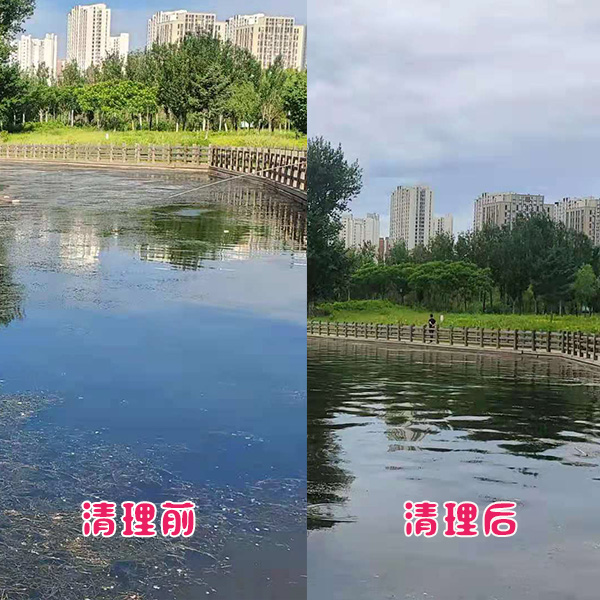 遼陽(yáng)市客戶太子河水草清理效果展示